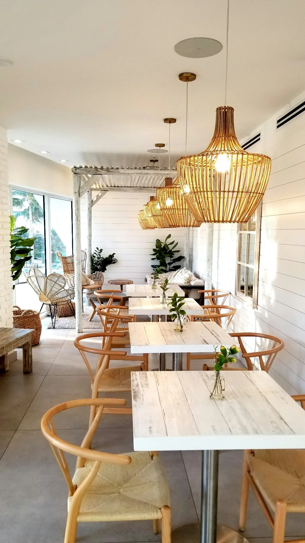 Light-filled hospitality interior with warm timber furniture and rattan pendant lights