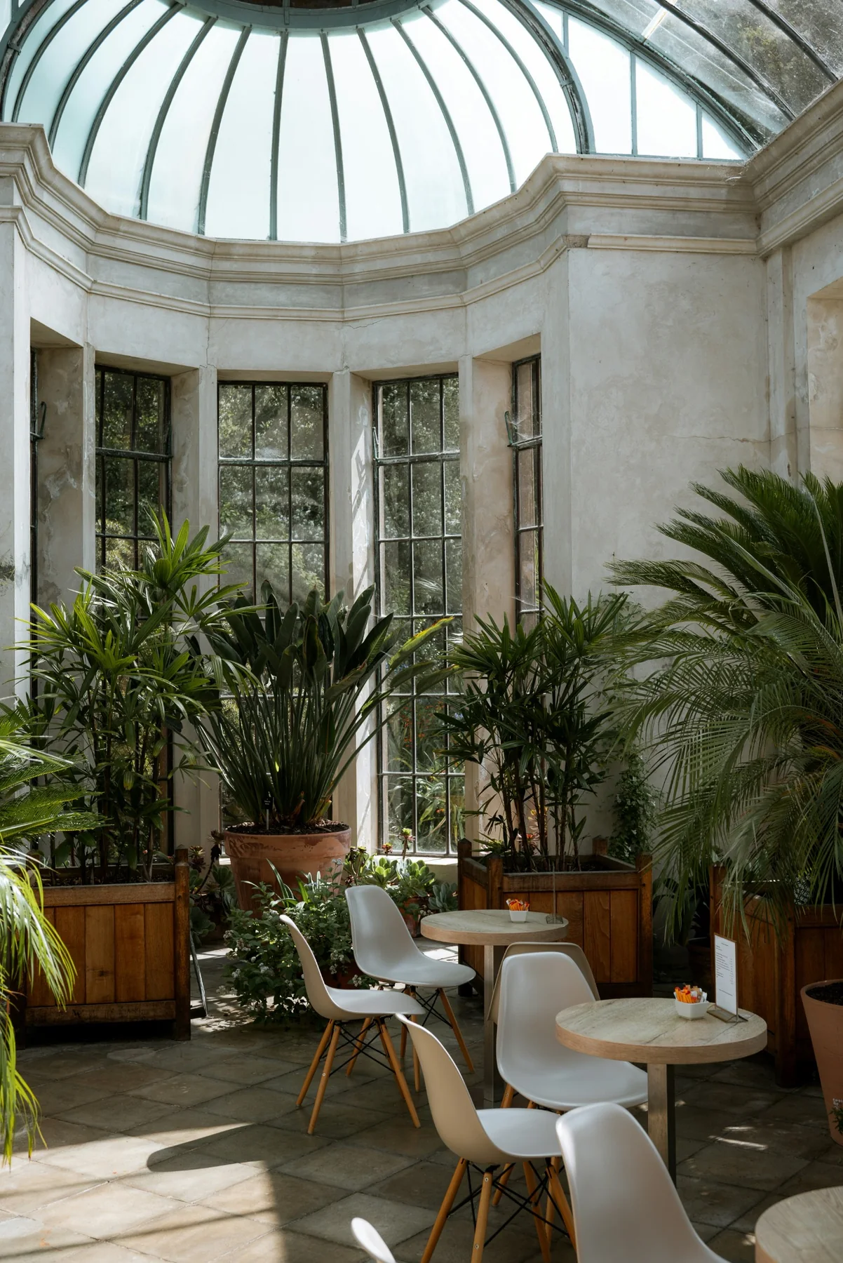 Bright glass-roofed hospitality space surrounded by greenery